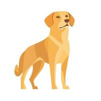 Cartoon Dog Standing with a Happy Expression vector