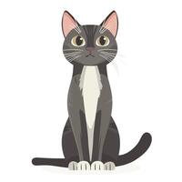 Lovable Domestic Cat in a Cute Pose vector