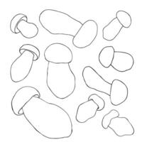 Outline illustration of various mushroom shapes with smooth contours on white background vector