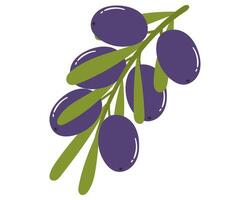 Fruit olive in cartoon hand drawn simple style. Editable variable color vector