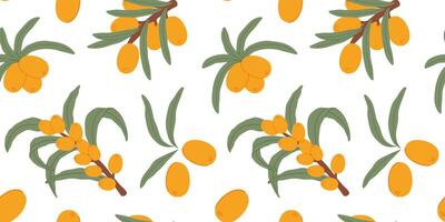 Seamless Sea Buckthorn Pattern with Branches and Leaves vector