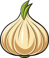 Garlic graphic illustration vector