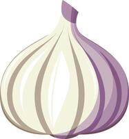 Garlic art with white background vector