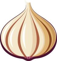 Minimalist garlic design with white background vector