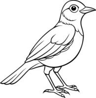 Silhouette bird design with white background. vector