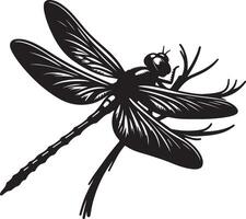Dragonfly silhouette isolated on white background. vector