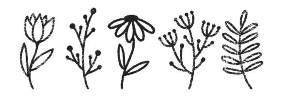 Set of flowers with charcoal, pastel or crayon texture. Summer doodle illustration. vector