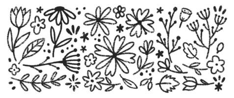 Set of flowers and herbs with charcoal, pastel or crayon texture. Floral hand drawn illustration. vector
