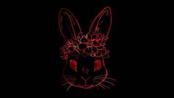Neon frame effect, Rabbits Bunny with floral headbands and cute whiskers on black background video