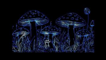 Neon frame effect,Whimsical mushroom on black background video