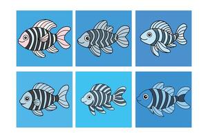 Zebra Pleco DESIGN vector