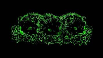 Neon frame effect, Hedgehogs shaped like hedgehogs with prickly quills and flowers on black background video