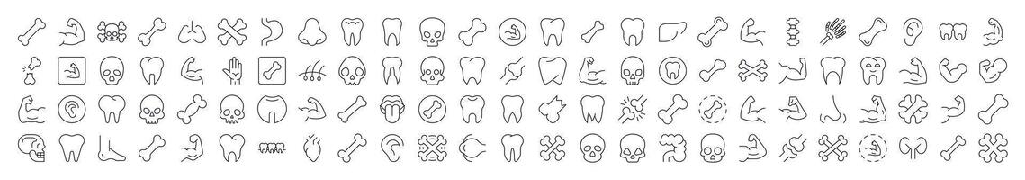 Internal Organs, Teeth and Bones Related Icon Set. Editable Stroke. Suitable for Web Sites, Books, Cards, Apps vector