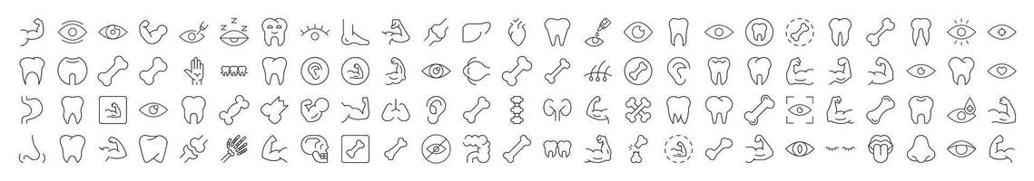 Bundles, Eye, Tooth, Muscle, Internal Organs Editable Strokes Drawn with Thin Line. Collection of Various Design Elements that Can Be Used for Apps, Articles, Web Sites, Social Media vector