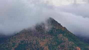 Towering Mountain Enveloped in Clouds and Trees video