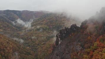 Towering Mountain Covered in Dense Trees video