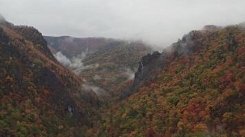 Majestic Mountain Range With Fog and Trees video