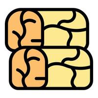 Two halves of fresh ripe mango fruit icon vector