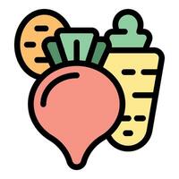 Fresh vegetables including beetroot, carrot and potato icon vector