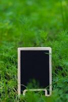 Blackboard empty copy space for advertisement on farm harvesting background of eco-friendly sustainable growth dill. Place for text template mock up farm core healthy agricultural food produce photo