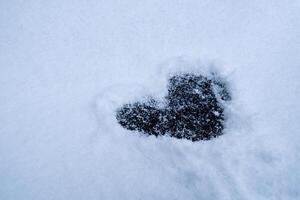 Heart shape love sign is drawn in snowy glade romantic background. Valentine's Day cold heart in snow winter season weather. Outdoor concept photo