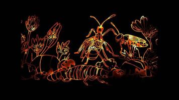 Neon frame effect, Insects - A mix of various insects like ants, grasshoppers, and fireflies on black background video