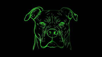 Neon frame effect, Dog Mask on black background video