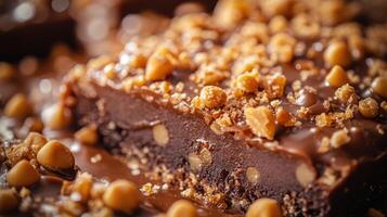 Delicious caramel slice showing crunchy biscuit base and gooey caramel topping photo