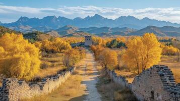 Autumn colors exploding along path to ming tombs, china photo