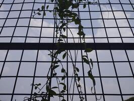 reflection of windows in a building photo