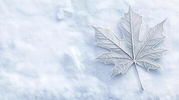 A frosty pattern decorates one maple leaf on a white snowy backgrou photo