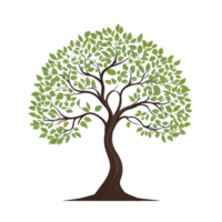 Green tree on transparent background, tree png