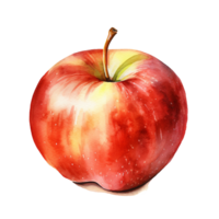Hand-Drawn Watercolor Apple Isolated png