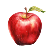 Watercolor Fruit Apple Transparent Background png