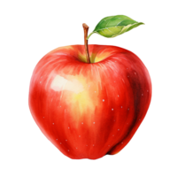 Whole Watercolor Apple on Transparent Background png