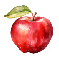 Watercolor Apple Clipart with Transparent Background png