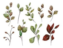 Watercolor botanical branches with green and dry leaves, isolated fall season decor elements on white background vector