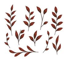 Watercolor botanical dry branches with leaves, isolated leaf elements on white background. vector