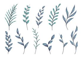Watercolor blue leaf branch set, isolated botanical elements on white background vector