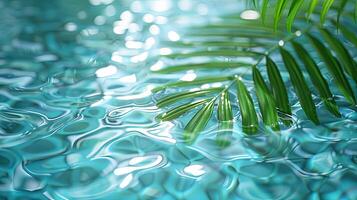 A single palm leaf partially submerged in a rippling pool of turquoise water, with soft light reflecting on the surface. photo