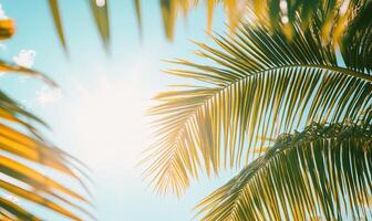 Palm leaves against a bright blue sky. photo