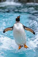 A penguin jumps out of the water, its wings spread wide, with a splash of water around it. photo
