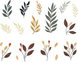 Set hand-drawn design elements featuring intricate leaves in various shapes and sizes Perfect for adding natural, organic touch to your projects from illustrations to prints and digital designs vector
