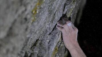 A climber grips a rocky surface at night, showcasing skill and determination under soft lighting in an outdoor setting video