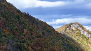 Majestic Mountain View With Trees video