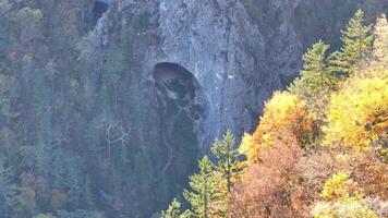 Cave Nestled in Mountain With Surrounding Trees video