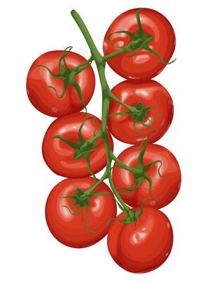 Unimpressed Bob the Tomato Staring Into the Distance created