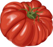 This illustration depicts a ripe, red tomato with green stem details, showcasing its plump, glossy surface and rich color. vector