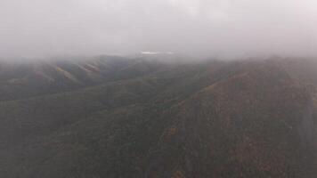 Foggy Mountain View With Trees video