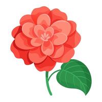 Red flower with green leaves on white background vector